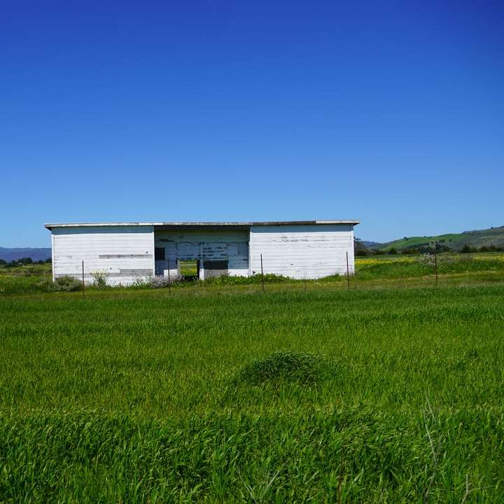 Casa blanca y marrón en campo de hierba verde debajo del cielo azul rompecabezas en línea