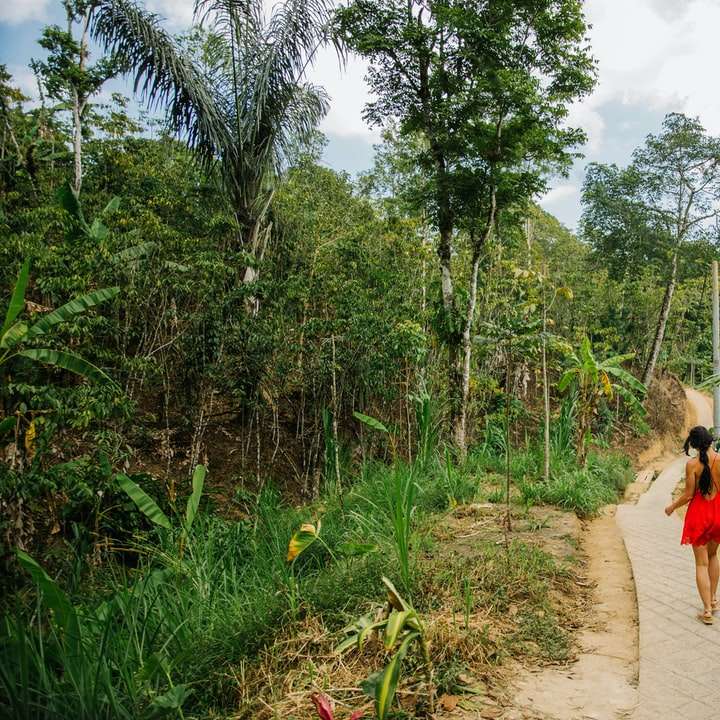 woman in red dress walking on pathway online puzzle