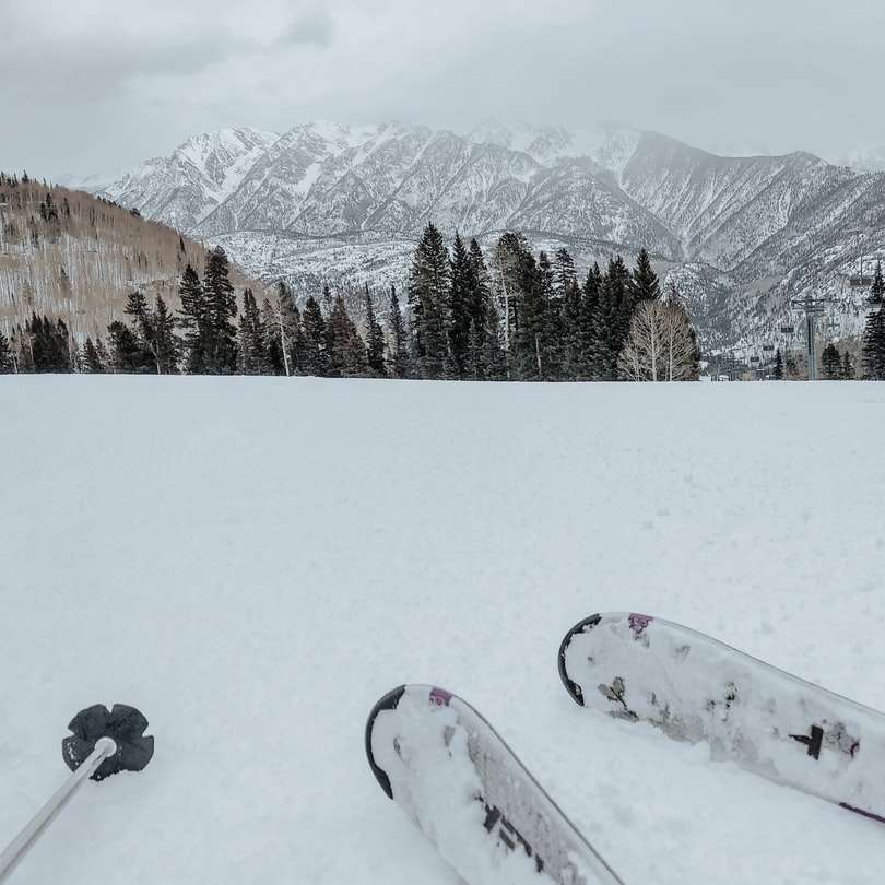 Persona en ski de nieve roja y blanca en suelo cubierto de nieve rompecabezas en línea
