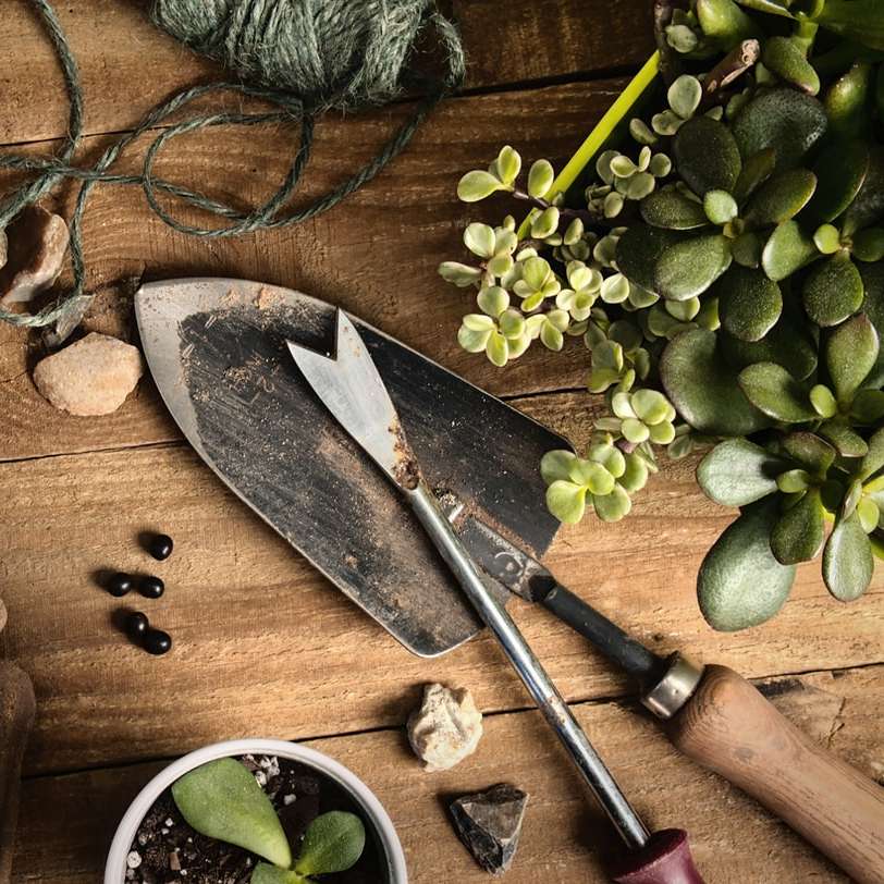 коричневый нож с деревянной ручкой рядом с зеленым растением онлайн-пазл