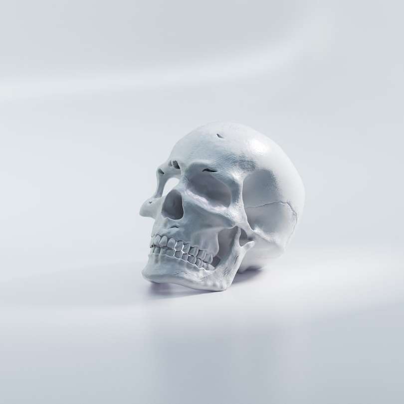 white skull on white surface sliding puzzle online