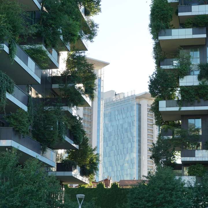 árvores verdes perto de um prédio de concreto branco durante o dia puzzle online