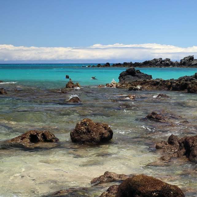 Rocas marrones en la orilla del mar durante el día puzzle deslizante online