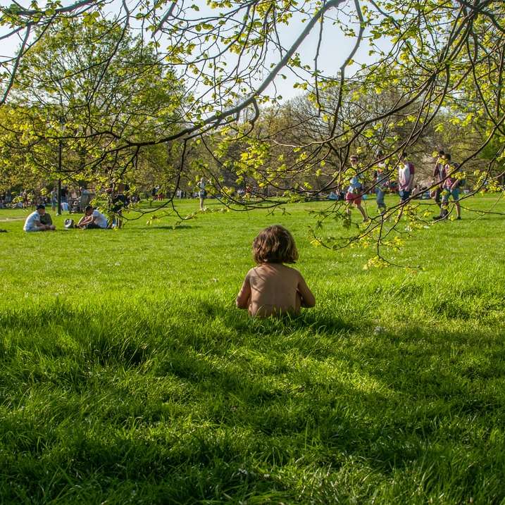 enfants assis sur un terrain d'herbe verte pendant la journée puzzle coulissant en ligne