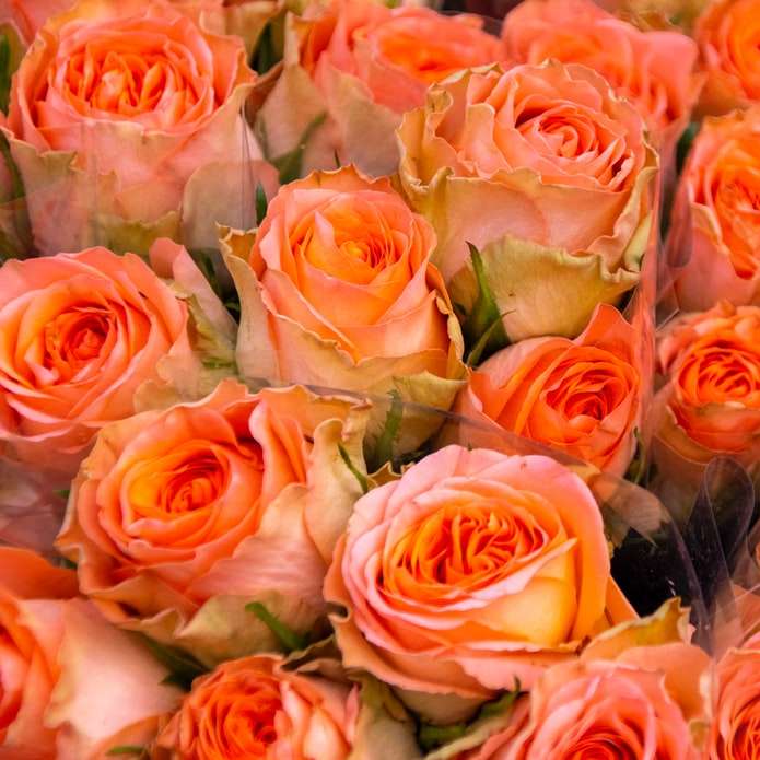 μπουκέτο ροζ και άσπρα τριαντάφυλλα συρόμενο παζλ online