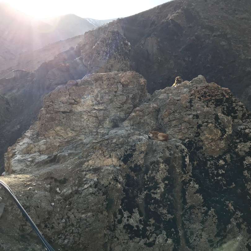 bruine rotsachtige berg overdag schuifpuzzel online