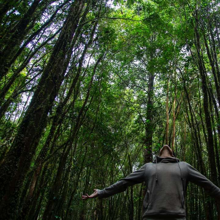 homem de camisa cinza de manga comprida em pé na floresta puzzle online
