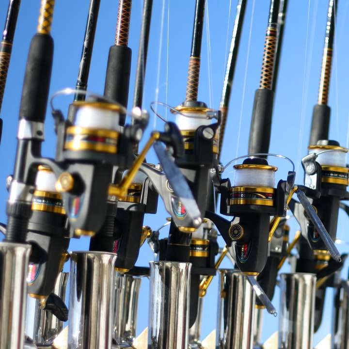 gold and silver fishing rods online puzzle