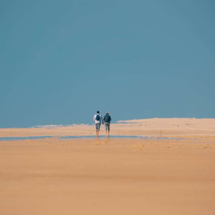 2 personer som går på brun sand under dagtid glidande pussel online