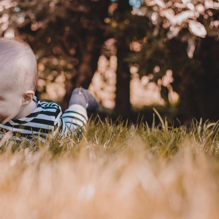 Baby im blau-weiß gestreiften Strampler liegt auf grünem Gras Online-Puzzle