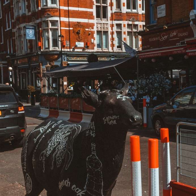 czarno-biały posąg krowy w pobliżu czerwono-białego metalowego ogrodzenia puzzle przesuwne online