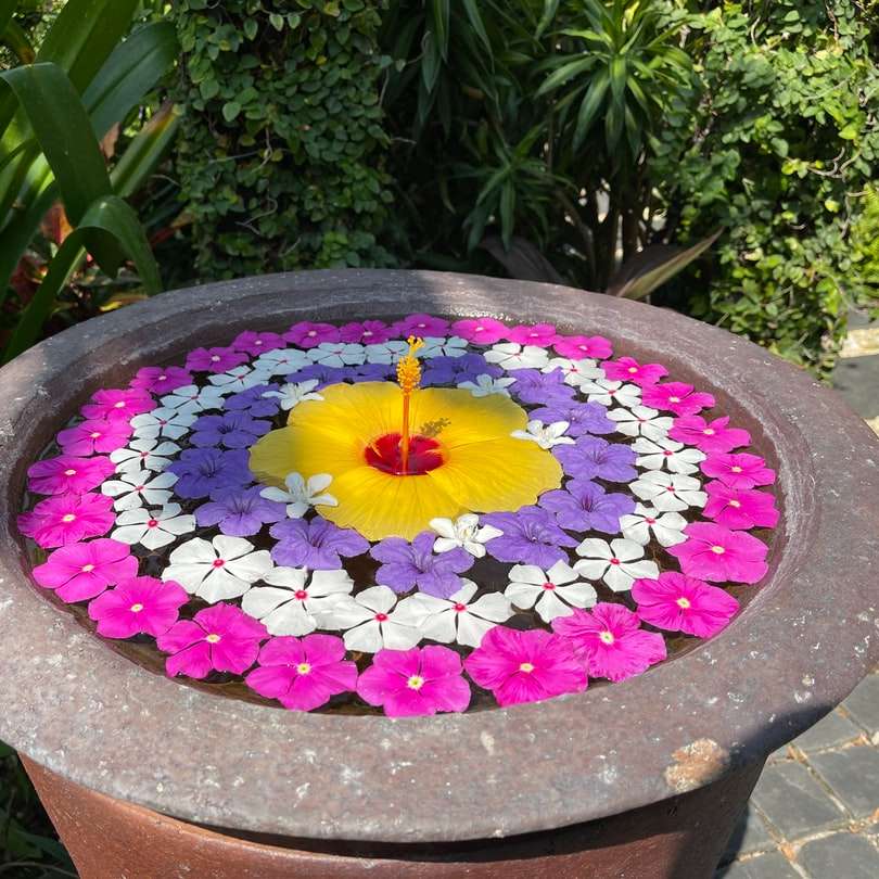 lila virág barna agyagedényen csúszó puzzle online