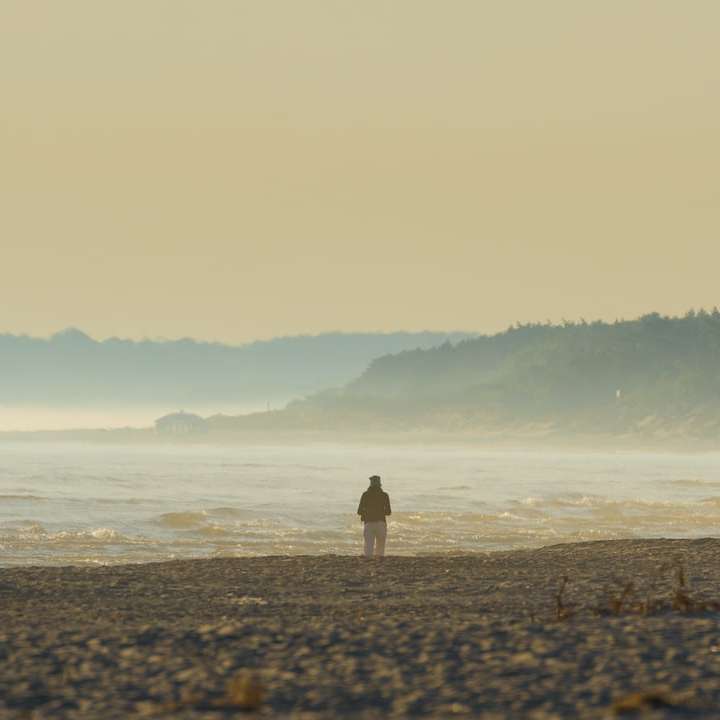 persona de pie en la orilla de la playa durante el día rompecabezas en línea