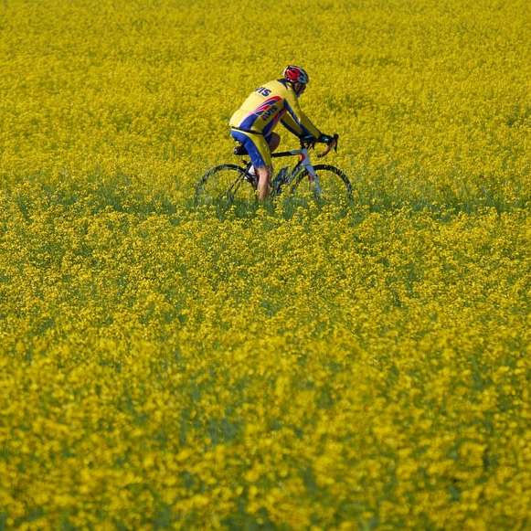 Mann im weißen Hemd, der Fahrrad auf gelbem Blumenfeld fährt Online-Puzzle