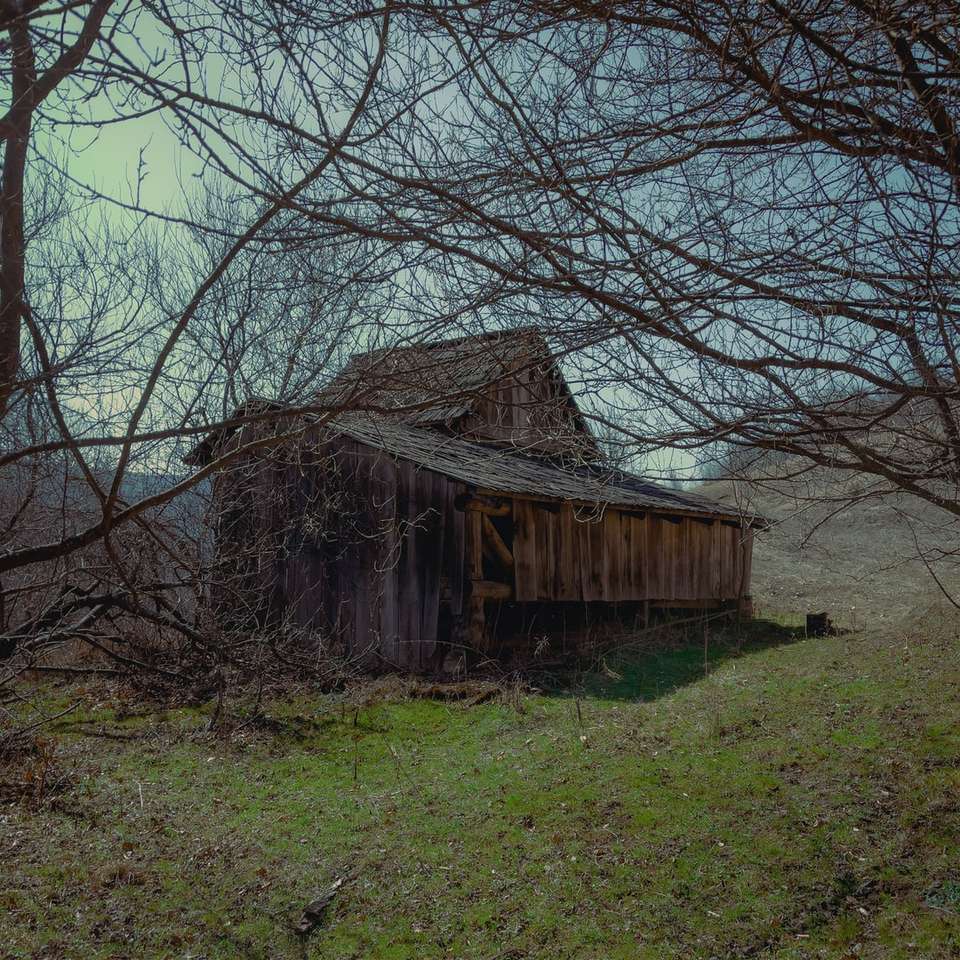 коричневий дерев'яний будинок біля голих дерев у денний час розсувний пазл онлайн