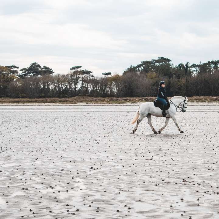 man in wit overhemd rijdend wit paard op wit zand online puzzel