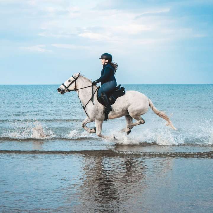 άνδρας με μαύρο σακάκι καβάλα λευκό άλογο στο νερό συρόμενο παζλ online