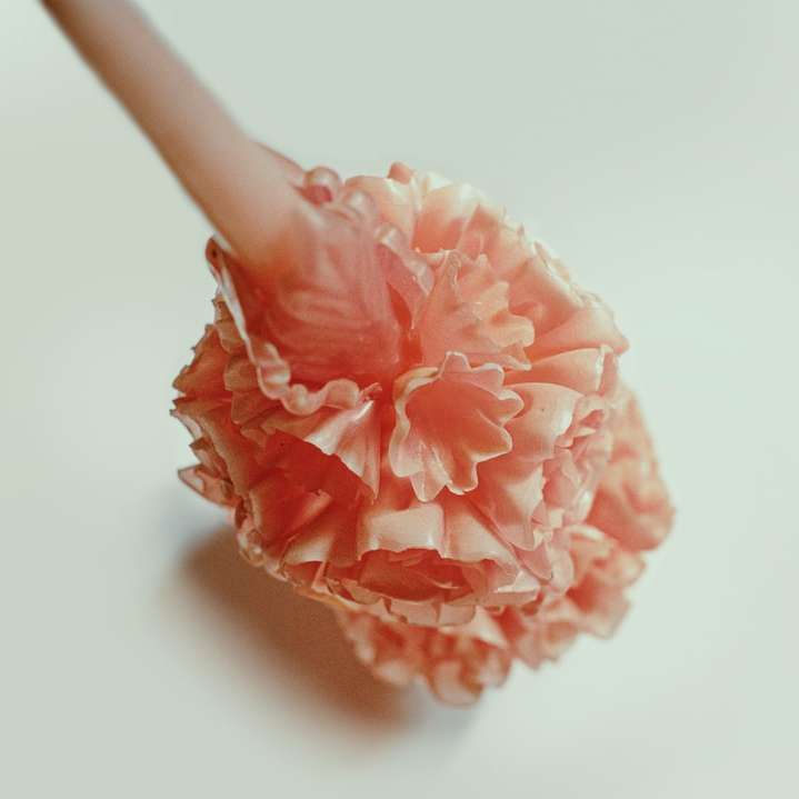 розово цвете върху бяла повърхност плъзгащ се пъзел онлайн