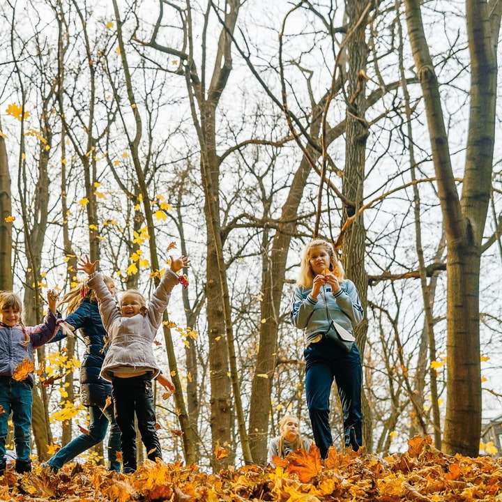 gente de pie sobre el tronco de un árbol marrón durante el día puzzle deslizante online
