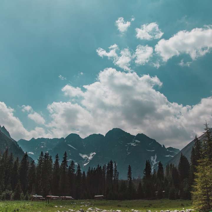 зелени дървета и планини под бели облаци и синьо небе плъзгащ се пъзел онлайн