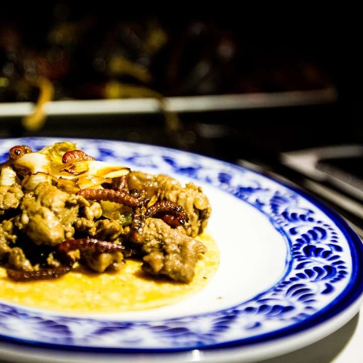 коричневая и черная еда на бело-синей цветочной керамической тарелке онлайн-пазл
