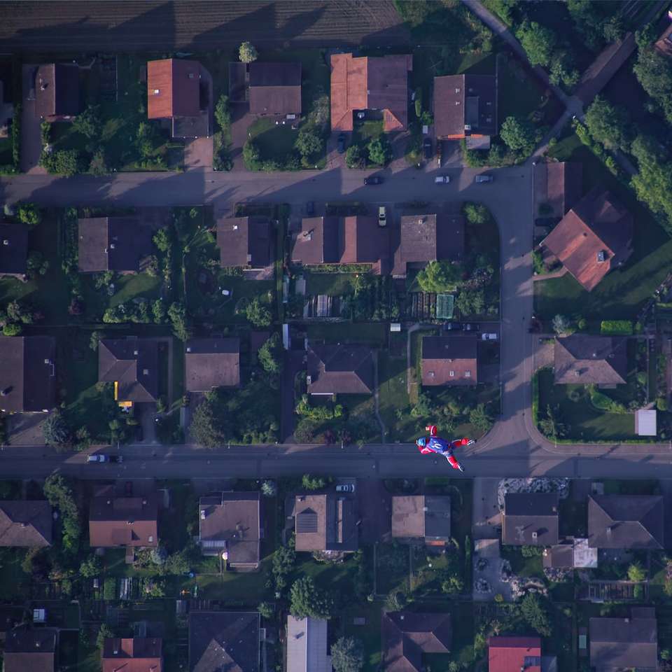 légi felvétel a zöld fák és házak csúszó puzzle online