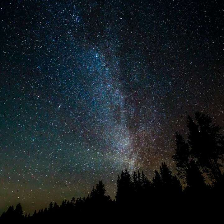 siluett av träd under stjärnklar natt Pussel online