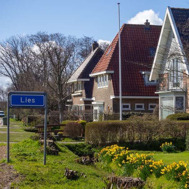 bruin en wit betonnen huis in de buurt van groen grasveld online puzzel