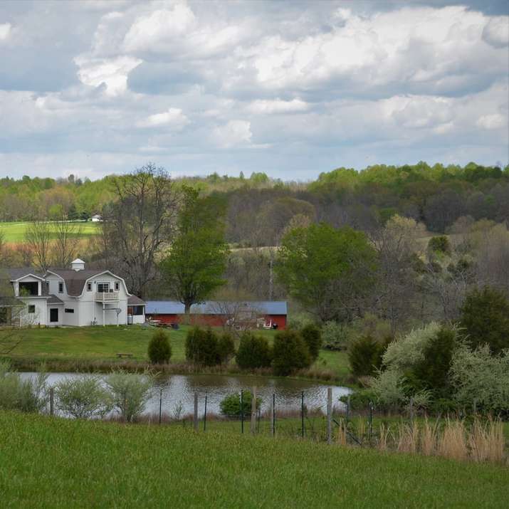 weißes und graues Haus in der Nähe einer grünen Wiese Schiebepuzzle online