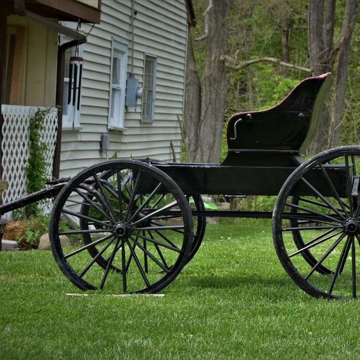 chariot en bois noir sur terrain d'herbe verte pendant la journée puzzle en ligne
