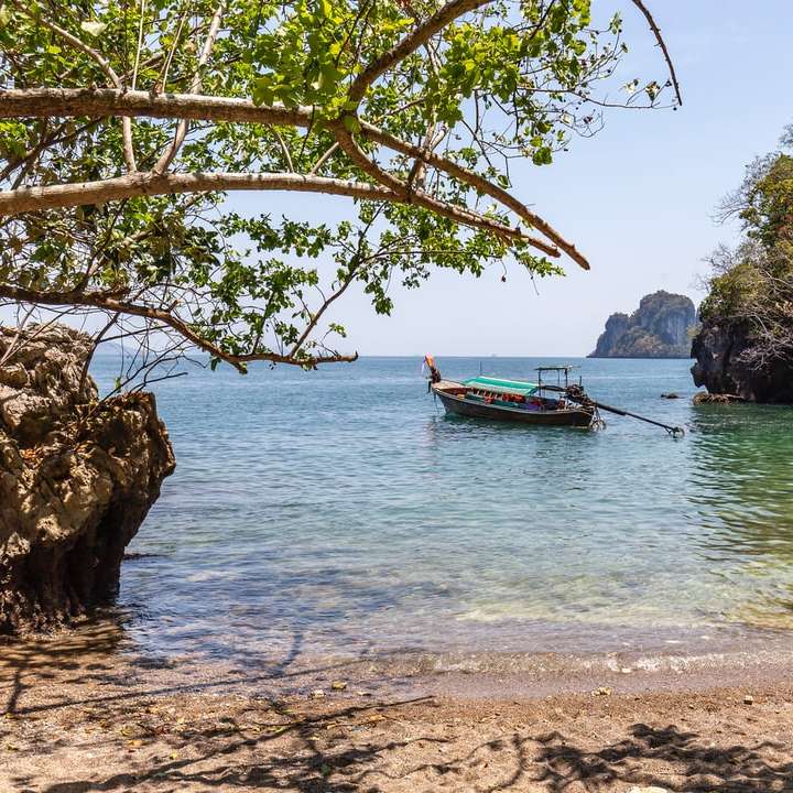 barca pe mare lângă copaci verzi în timpul zilei puzzle online
