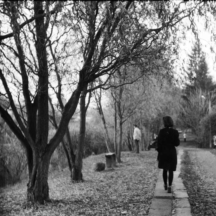 foto em tons de cinza de pessoa caminhando em um caminho entre árvores puzzle deslizante online
