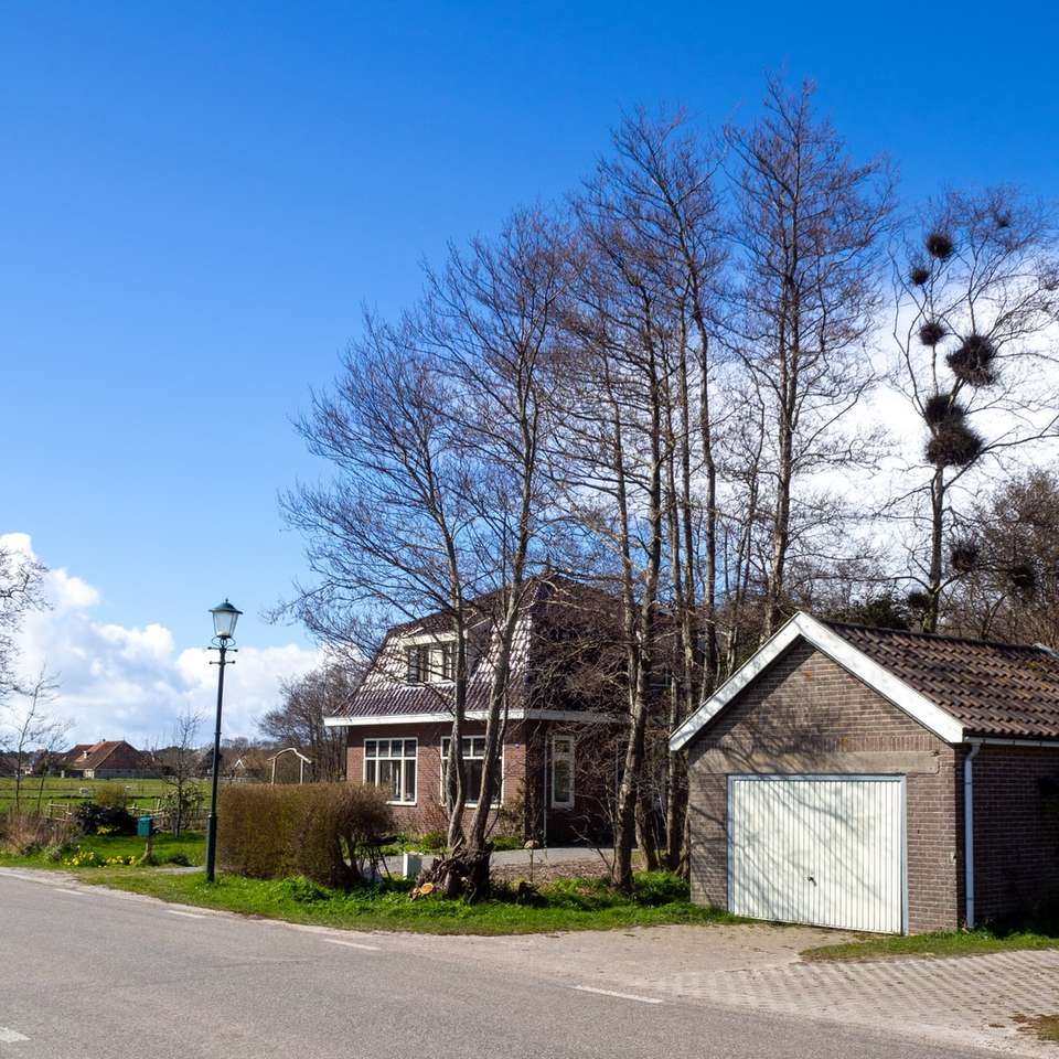 brunt och vitt hus nära kala träd under blå himmel Pussel online