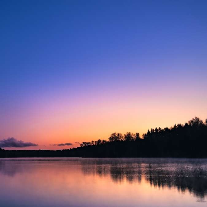 Schattenbild der Bäume nahe dem Gewässer während des Sonnenuntergangs Schiebepuzzle online