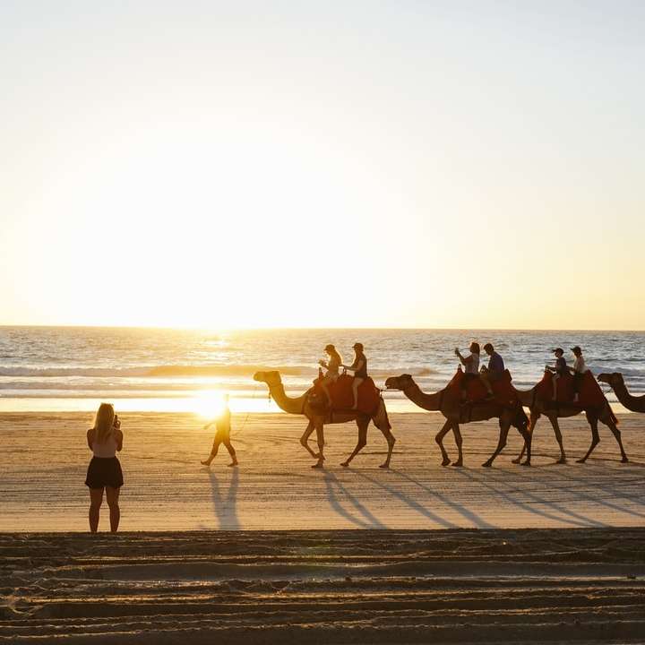silhuett av människor som rider hästar på stranden under solnedgången glidande pussel online