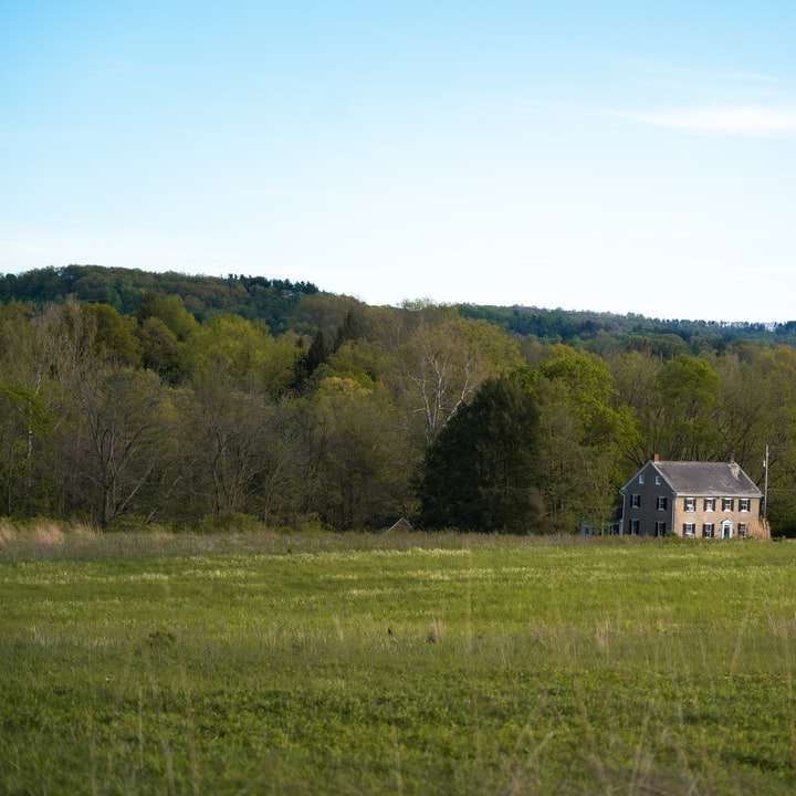 wit en bruin huis op groen grasveld overdag schuifpuzzel online