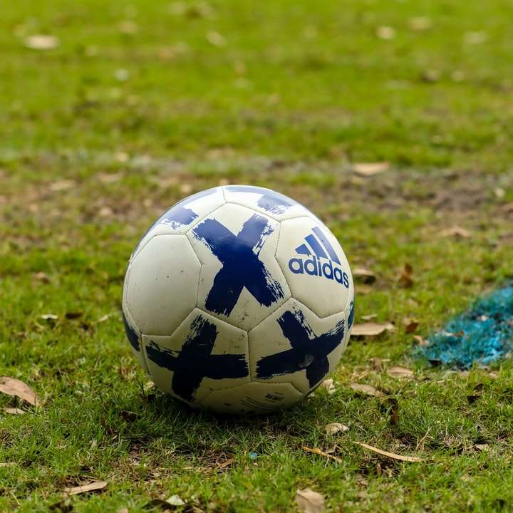λευκή και μπλε μπάλα ποδοσφαίρου στο γήπεδο πράσινου χόρτου συρόμενο παζλ online