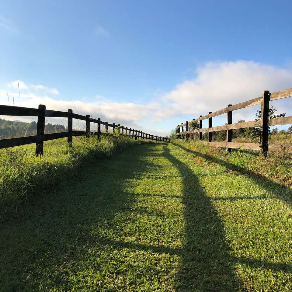 Campo de hierba verde con valla de madera marrón bajo un cielo azul puzzle deslizante online
