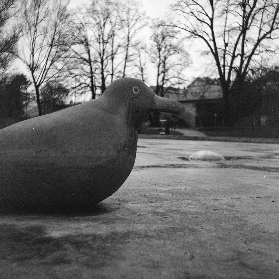 статуя на черна птица върху сив бетонен под плъзгащ се пъзел онлайн