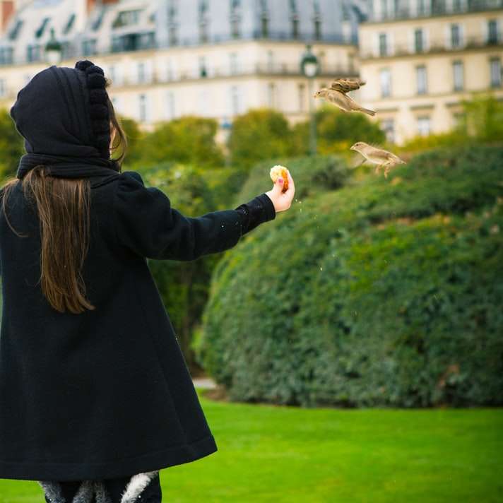 緑の芝生のフィールドに立っている黒いコートの女性 オンラインパズル