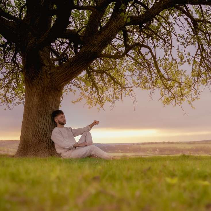 bărbat în cămașă albă așezat pe câmpul de iarbă verde puzzle online