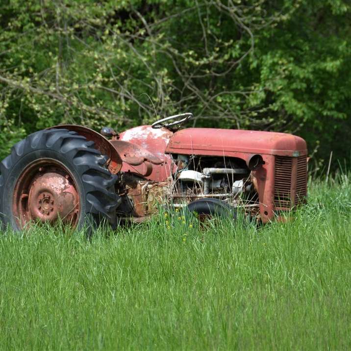 昼間の緑の芝生のフィールド上の赤いトラクター スライディングパズル・オンライン