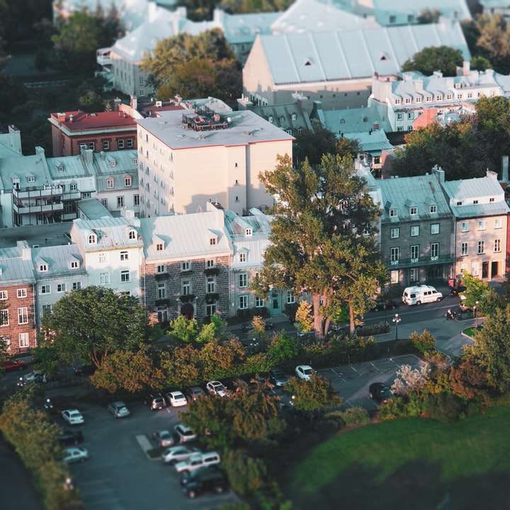 luchtfoto van groene bomen en witte gebouwen schuifpuzzel online