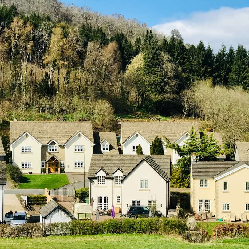 biały i szary dom w pobliżu zielonych drzew pod błękitnym niebem puzzle przesuwne online