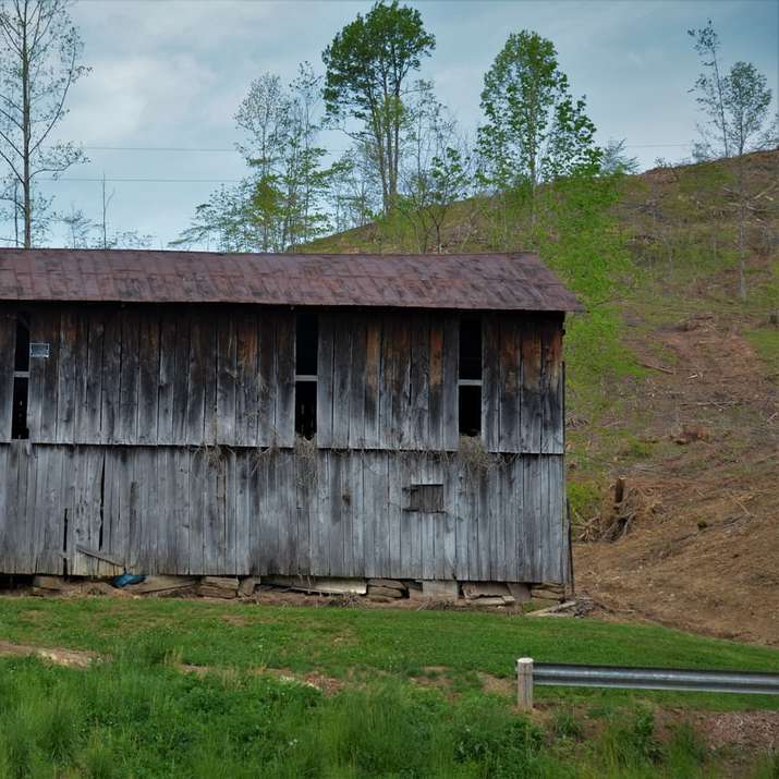 casa in legno marrone vicino a alberi verdi durante il giorno puzzle online