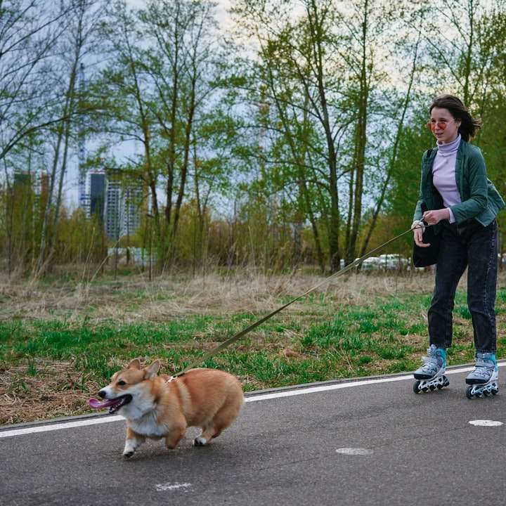 Mujer en chaqueta gris caminando con perro marrón en la carretera rompecabezas en línea