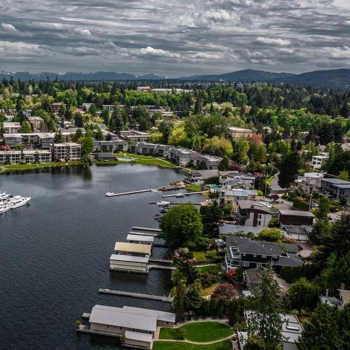 въздушен изглед на градски сгради в близост до водоема онлайн пъзел