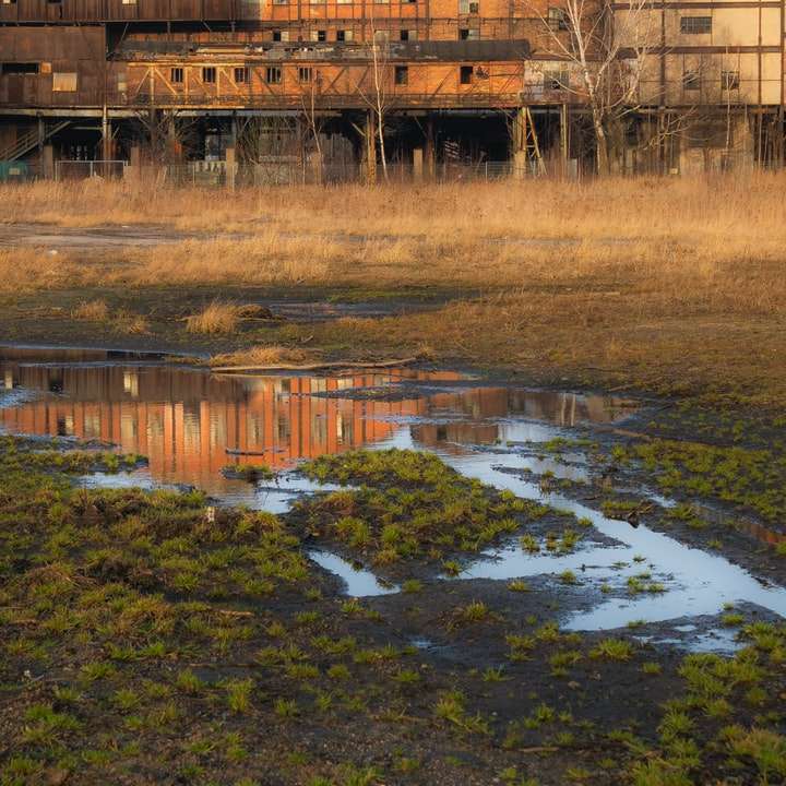 brązowy drewniany dom na zielonym polu trawy puzzle przesuwne online