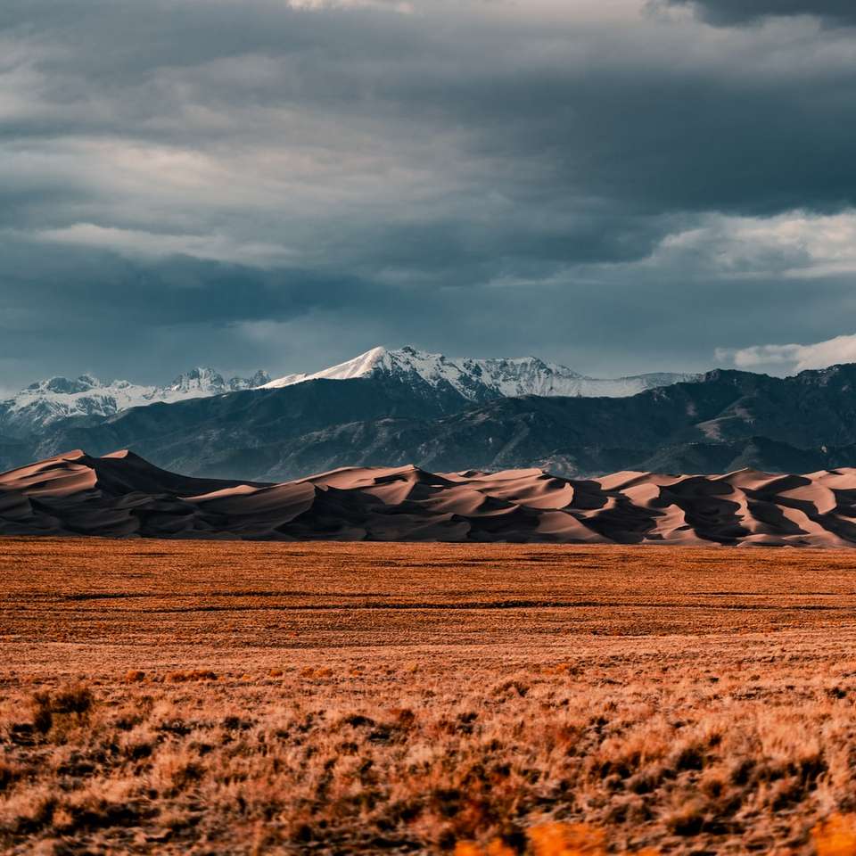коричневе поле біля засніжених гір під хмарним небом розсувний пазл онлайн