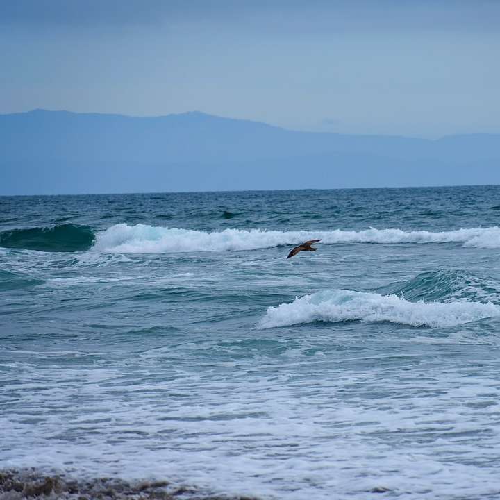 昼間に海の波でサーフィンする人 スライディングパズル・オンライン